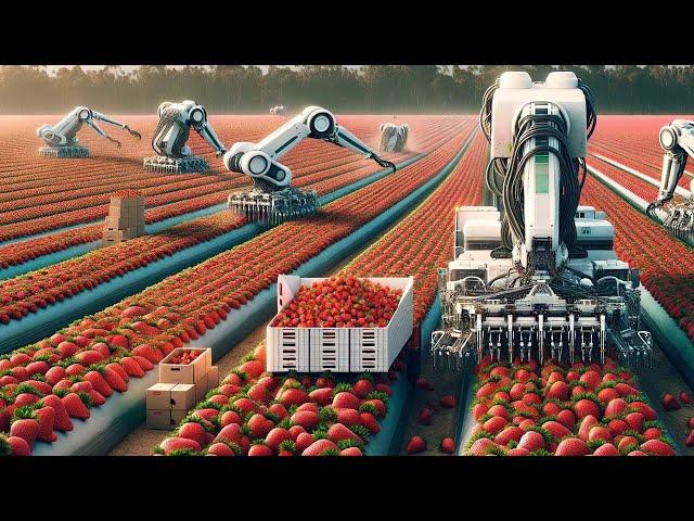 US Farmers Use Both Robots And Machines To Harvest Millions Of Pounds Of Fruits And Vegetables