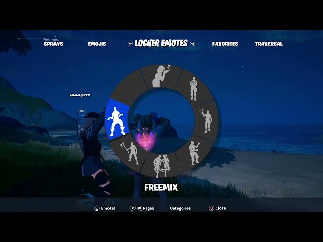 Fortnite FREEMIX Emote perfect timing! 