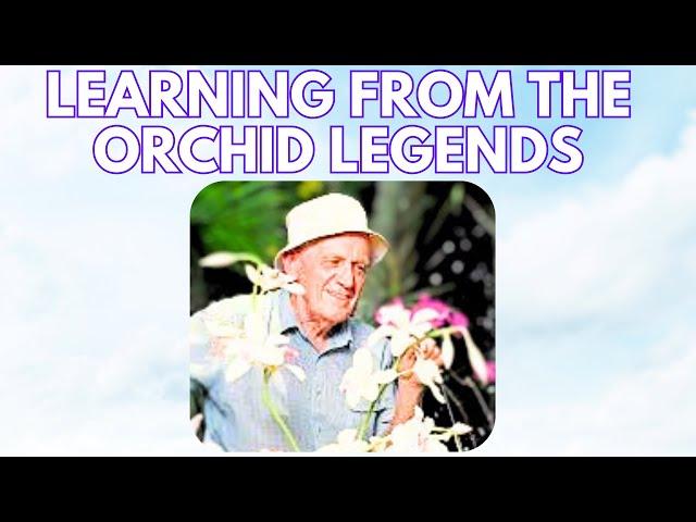 The REAL Difference Between Orchid Care for Beginners and Experts