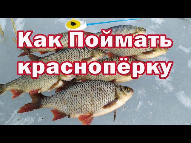 КРАСНОПЁРКА на МОРМЫШКУ!!! Как Поймать КРУПНУЮ Краснопёрку !!! И Бонус Хороший окунь!!!