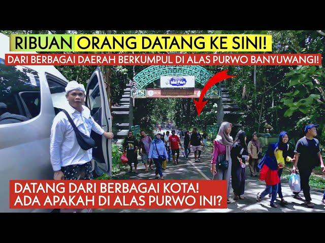 BANYUWANGI VIRAL! Ribuan Umat Beragama Berdatangan ke Alas Purwo! Pertanda Apakah ini?