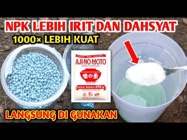 UNTUK RIBUAN POHON...!! NPK Jadi lebih dahsyat dengan cara ini