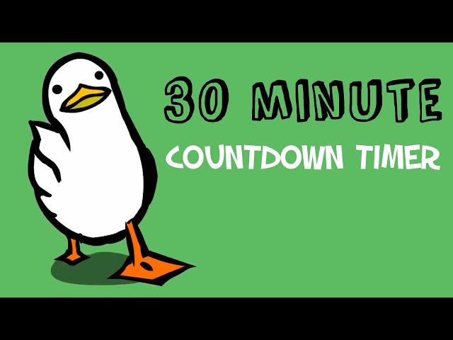 30 minute countdown timer | walking duck