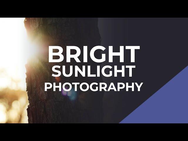 How to Shoot Photographs in Bright Sunlight