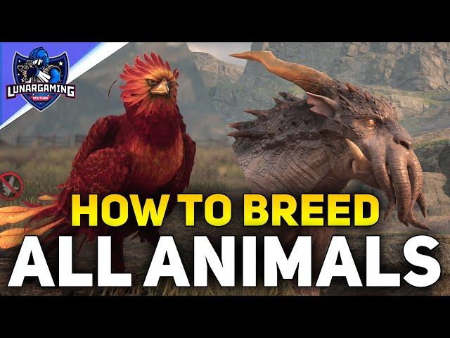 All 13 Animals Location and How To Breed Them - Hogwarts Legacy