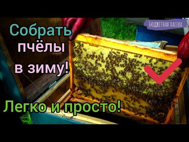 Сборка пчелиного гнезда в улье лежаке. Всё наглядно в этом видео.