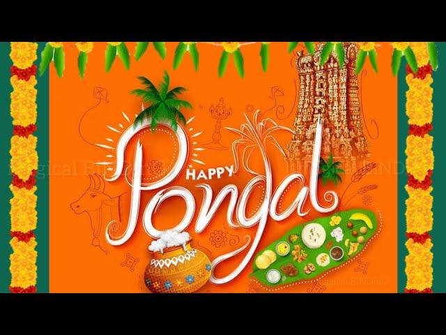 Best Happy Pongal WhatsApp Status 2021 | Bhohi Pongal, Mattu Pongal, Kaanu Pongal Status in Advance