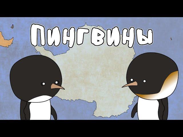 Пингвины - Мудреныч (Добро пожаловать в Антарктиду)