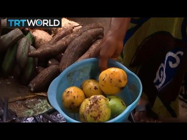 Nigeria Trade: Community uses barter system to pay for food