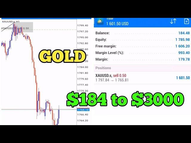 $184 to $3000 | GOLD