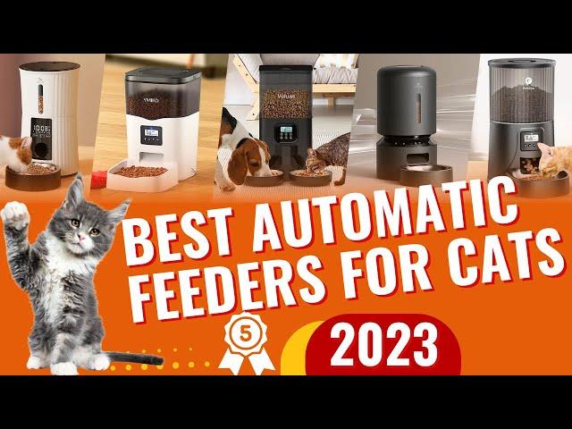 Top 5 Best Automatic Feeders For Cats In 2023