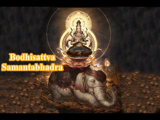  Bodhisattva Samantabhadra Mantra | Namo Puxian Pusa | Wisdom Mind Of Samantabhadra