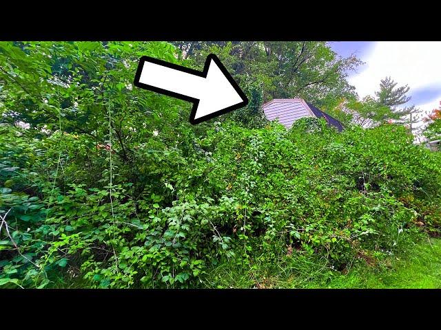 Couple STUNNED with What I FOUND BURIED under this Overgrown Grass!