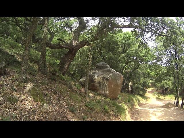 VTT du Plan de la Tour  Grimaud