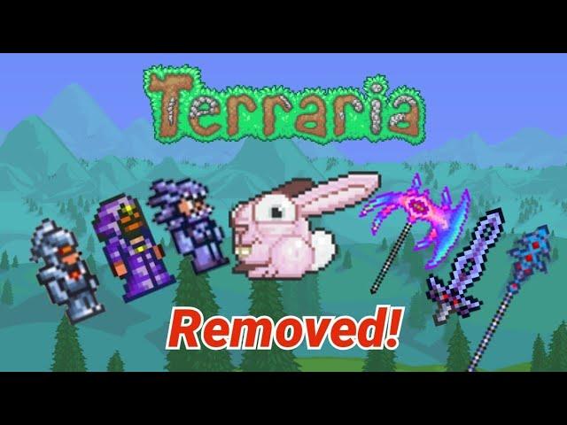 Every Terraria Removed, Unimplemented, And Unobtainable item!