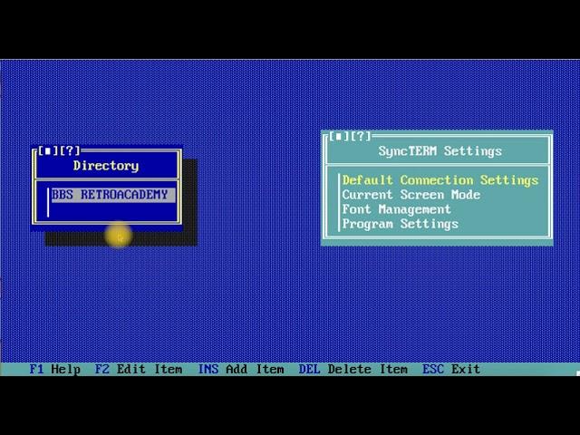SyncTerm and BBS Retroacademy
