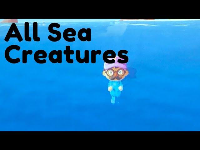 How to catch every sea creature in Animal Crossing New Horizons