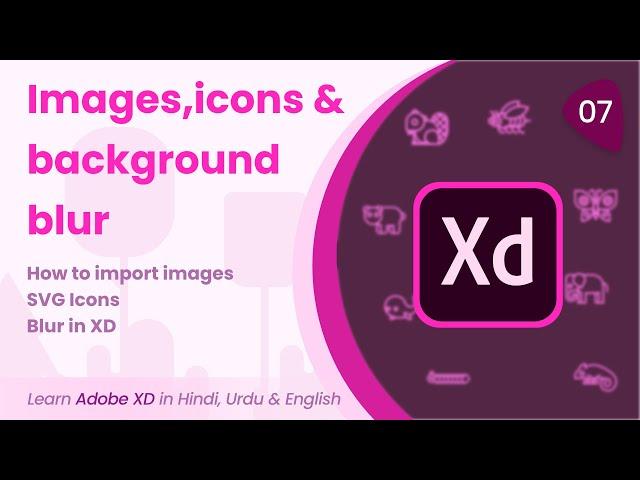 Images , Icons & Background Blur | Adobe XD | Tutorial 7