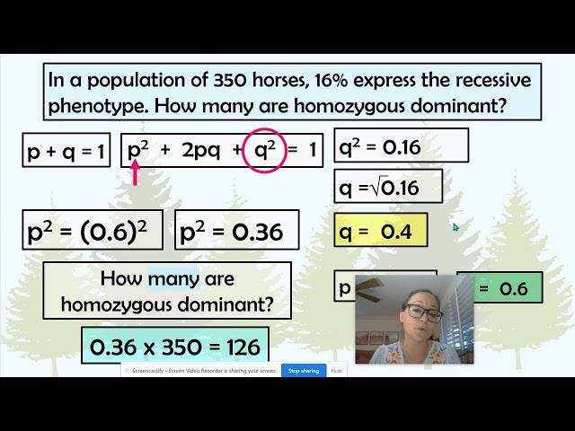 Example Hardy-Weinberg Problems