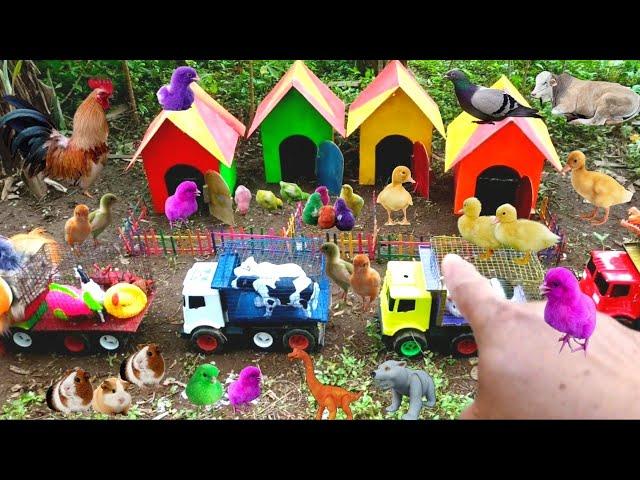 Tractor Transport Toys And Animals from animal house, Cow, Horse Duck, Colorful Chicken, Animal Toys