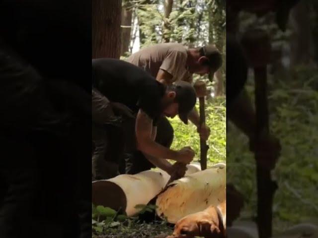 Peeling Tree Bark for a Shelter #shorts #bushcraft #survival