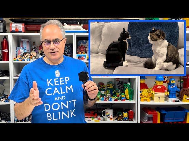 LEGO Tuxedo Cat is an absolute great value! Plus Lego haul surprise