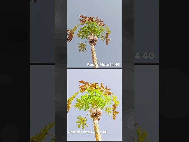 Redmi Note 14 Pro 4G vs Redmi Note 14 Camera Test