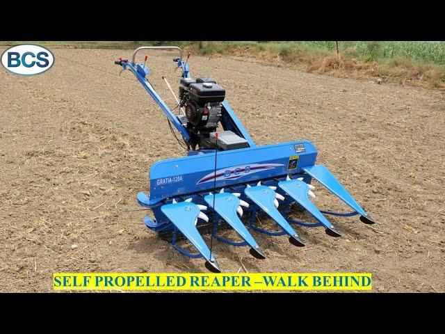 BCS - Self Propelled Reaper Walk Behind 120