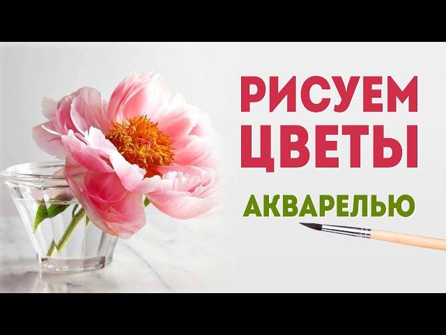 ПИОН - как рисовать цветы акварелью (ботаническая иллюстрация).