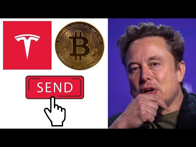 Elon Musk Tesla Moves $765M Bitcoin to Unknown Wallets