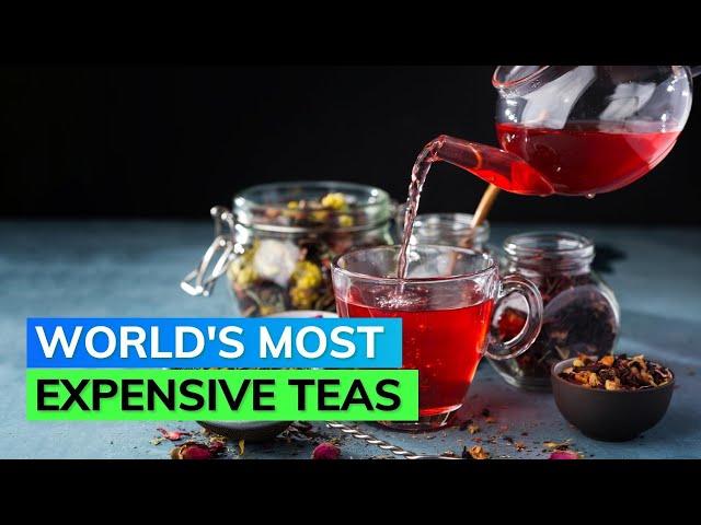Attention tea lovers! These are the most expensive teas in the world