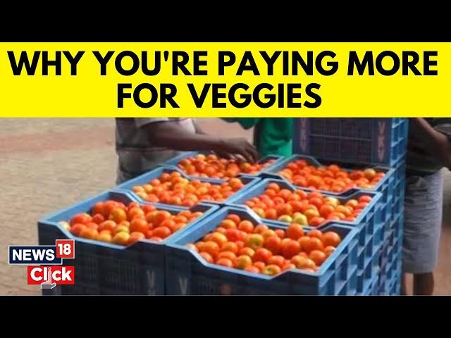 Why Tomato Prices Are On The Rise, When Will They Come Down? | English News | Mosoon Delay | News18