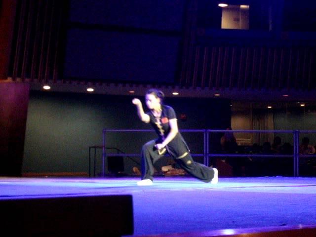 Chinese Wushu Association Demo in the United Nations building #9 Xingyi Quan