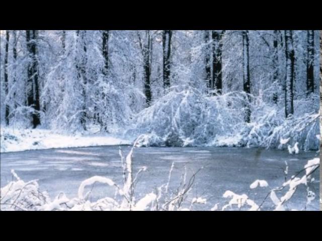 Hans Rotschi " Winter " (1999 )