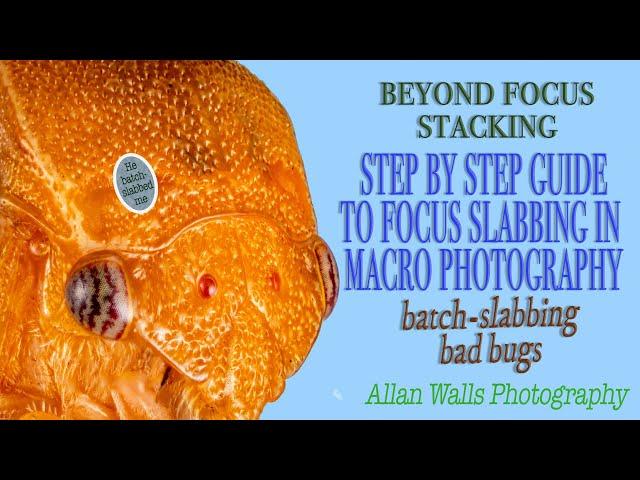 Focus Slabbing - a step by step guide to advanced focus stacking