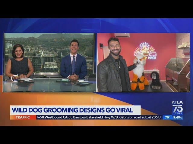 Dog groomer Gabriel Feitosa's wild styles go viral