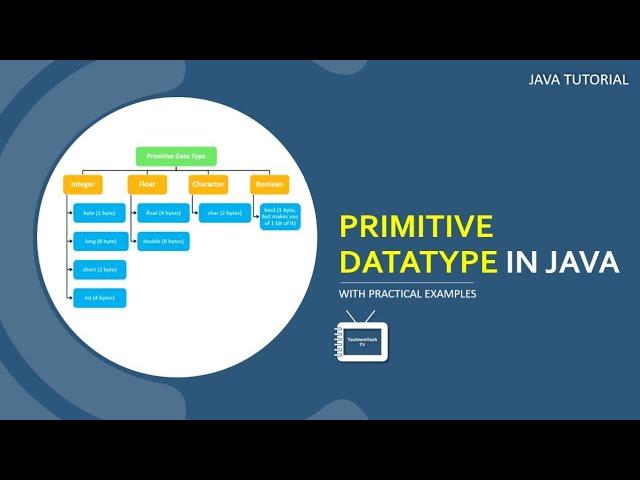 Data Type in Java | Primitive Data Type  with Practical Examples | Java Tutorial | TechnonTechTV