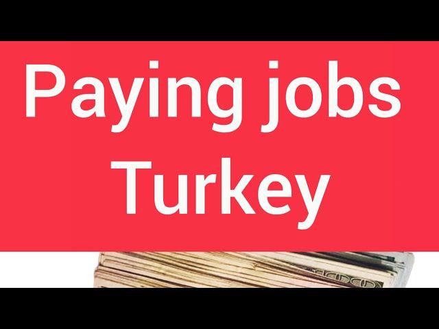 Most paying job in Turkey [2022]#istanbul #jobs