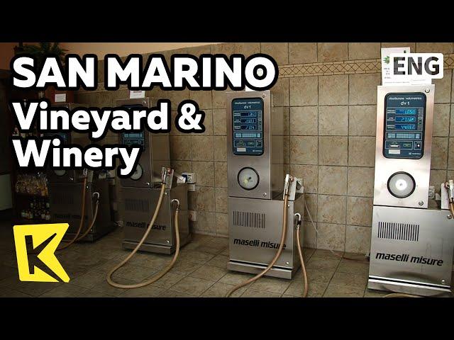【K】San Marino Travel[산마리노 여행]포도밭과 와인 공급소/Vineyard/Winery/Grape/Wine
