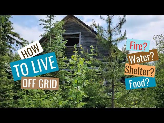 How to Live off Grid | S1 E4