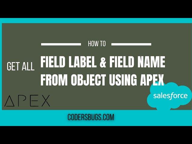 How to get all Field Label or Field Name from Object Using APEX | Salesforce | CodersBugs.com