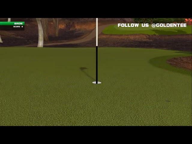 Golden Tee Great Shot on Kangaroo Trail!