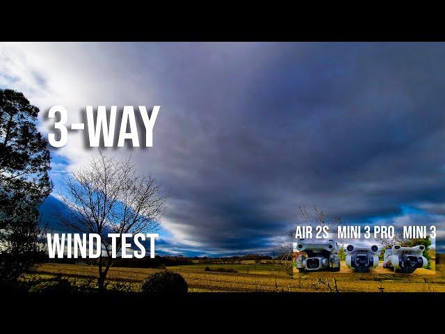 3-Way Strong Wind Test: How does DJI Mini 3 compare to Mini 3 Pro & DJI Air 2S?