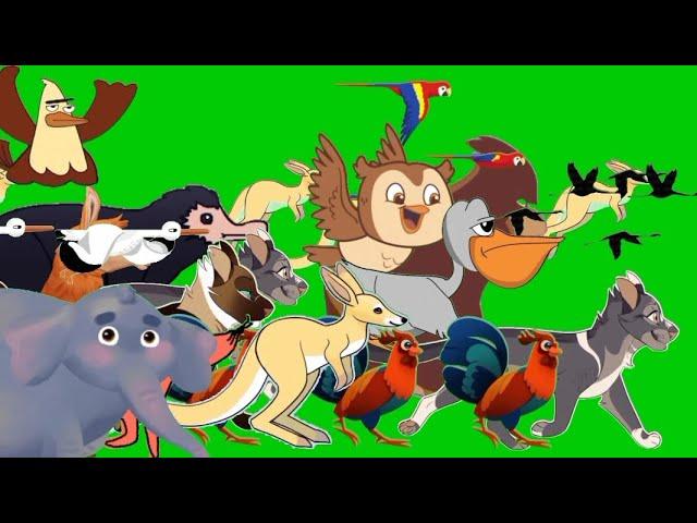 cartoon animal stampede green screen compilation