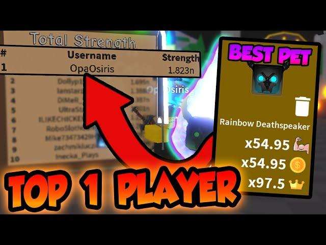 BECOMING TOP 1 PLAYER USING THE RAREST LOADOUT ( pets, items )! - Roblox Saber Simulator