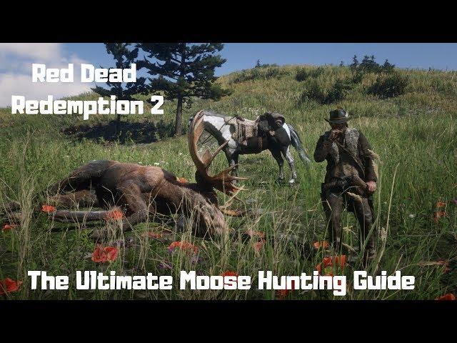 RDR2 - The Ultimate Moose Hunting Guide