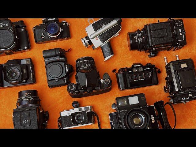 My Film Camera Collection in 2024