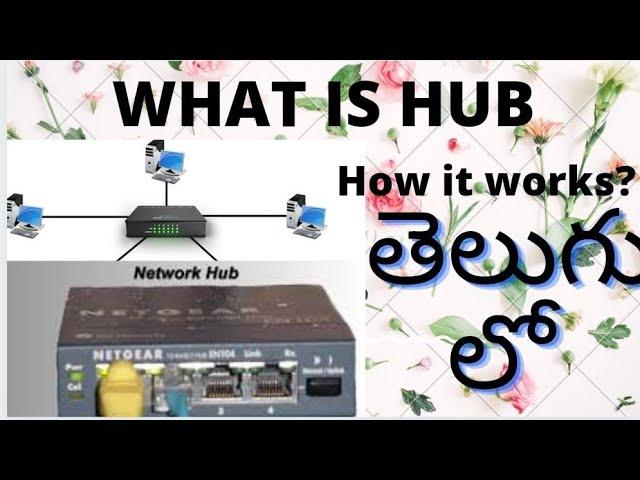 What is Hub |Hub in computer networks | what is hub in Telugu  | networking device |Hub how it works