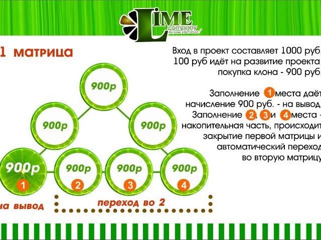 lIME COMPANY. Заработок в интернете.