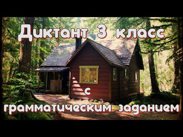 Диктант c грамматическим заданием! 3 класс #диктант3класс #диктант